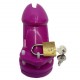 Locking Male Chastity Device CB6000 in A Range Of Colour's.