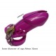 Locking Male Chastity Device CB6000 in A Range Of Colour's.