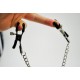 Adjustable Nipple Clamp's With Linking Chain and Small Bell.