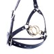 Double Ring Mouth Gag With Head Gear.