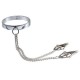 Chrome Steel Collar With Japanese Clover Nipple Clamps.