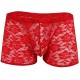 Men's Lace Boxer Briefs in a Range of Colour's and Sizes.