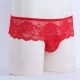 Lace High Rise Briefs With Front Pouch in a Range of Colour's.