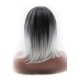 Similler Short Black/Blond Wig (16 Inch) With Two Free Wig Caps.