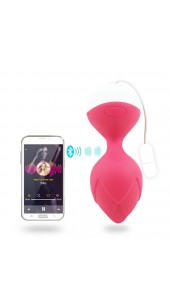 MonSa  Wireless Remote Control Vibrating Egg in Purple and Pink.