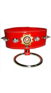 Red Leather Collar with Red and Gold detail with Chain Lead.