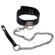 Black Leather Collar with D Ring and Chain Lead.