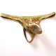 Shiny Spandex Front Pouch Thong in Medium and Large..