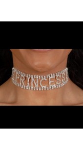 Rhinestone PRINCESS Collar.