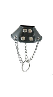 Leather Collar For the Scrotum With Chain and Steel Ring.