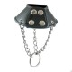 Leather Collar For the Scrotum With Chain and Steel Ring.