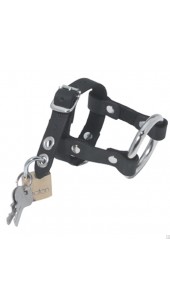 Adjustable Leather Penis and Scrotum Cage With Lock.