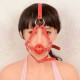 Leather Adjustable Mouth Breathable Ball Gag In Black, Red or Pink.