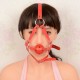 Leather Adjustable Mouth Breathable Ball Gag In Black, Red or Pink.