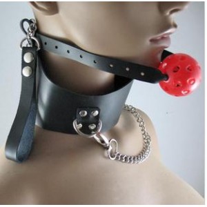 Adjustable Black Collar With Adjustable Breathable Ball Gag and Steel Clip's.