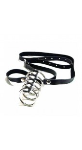 Steel and Leather Cock RIng's With Waist Strap.