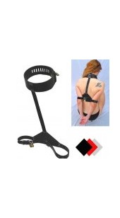 Black Leather Neck Collar With Arm Restrains With Brass Pad lock.