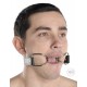 Black Leather and Chrome Steel Spider Mouth Gag.