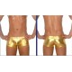 Metallic Gold or Silver Low Rise Boxers  S-M