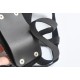 Silver and  Black Starter Strap On Kit With Anal Plug.
