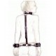 Black Leather Neck Collar With Arm Restrains..